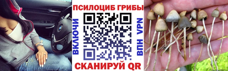 Галлюциногенные грибы Magic Shrooms Цимлянск
