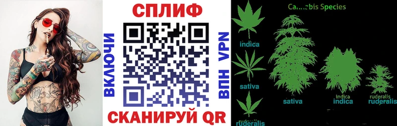 Каннабис семена  где купить   Цимлянск 